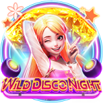 Wild Disco Night